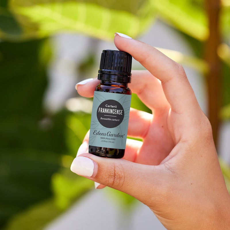 Edens Garden إيدنز جاردن زيت اللبان الأساسي CO2 - 100% نقي فئة ممتازة، غير مخفف، طبيعي، علاجي، للعلاج بالروائح، الأفضل للناشر، للبشرة، للشعر، للمرطبات 10 مل (.33 fl oz) - Image 2
